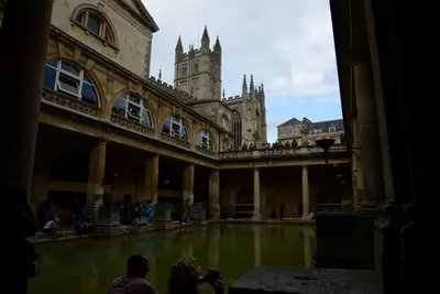 DSC_2671 (Large).JPG